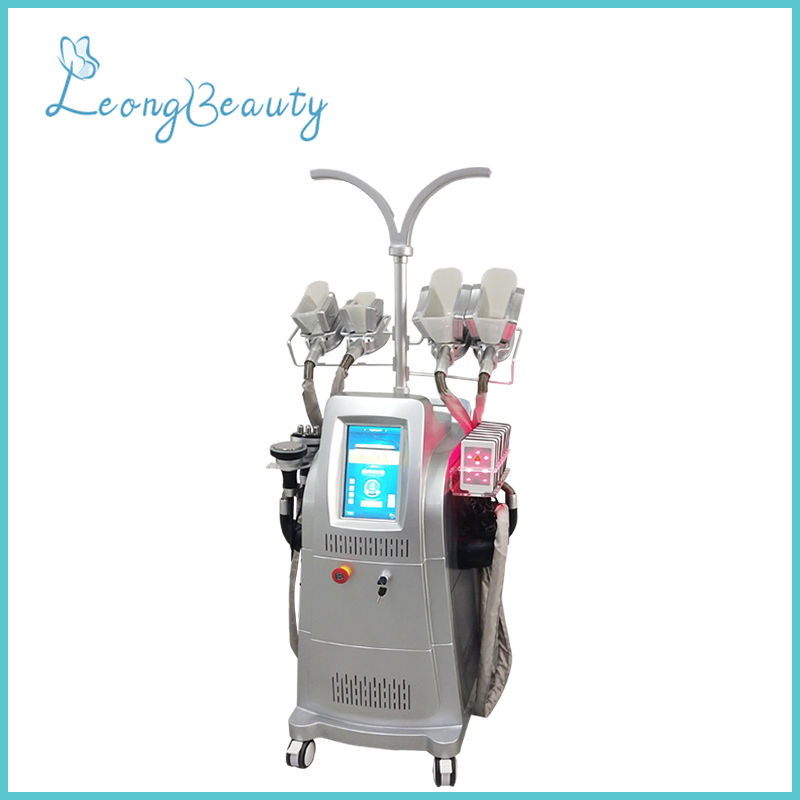 Vertikal Grey Warna Silicon Cryolipolysis Rf Cavitation Bobot Mundhut Machine